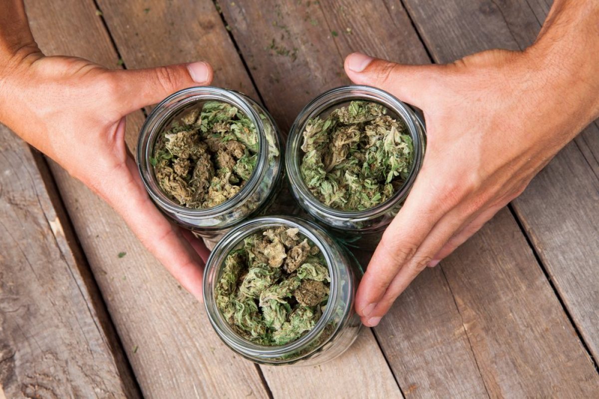 4 Interesting Facts About Marijuana That'll Make You Say, “Wuuuuuuuut” |  Thiessen Law Firm